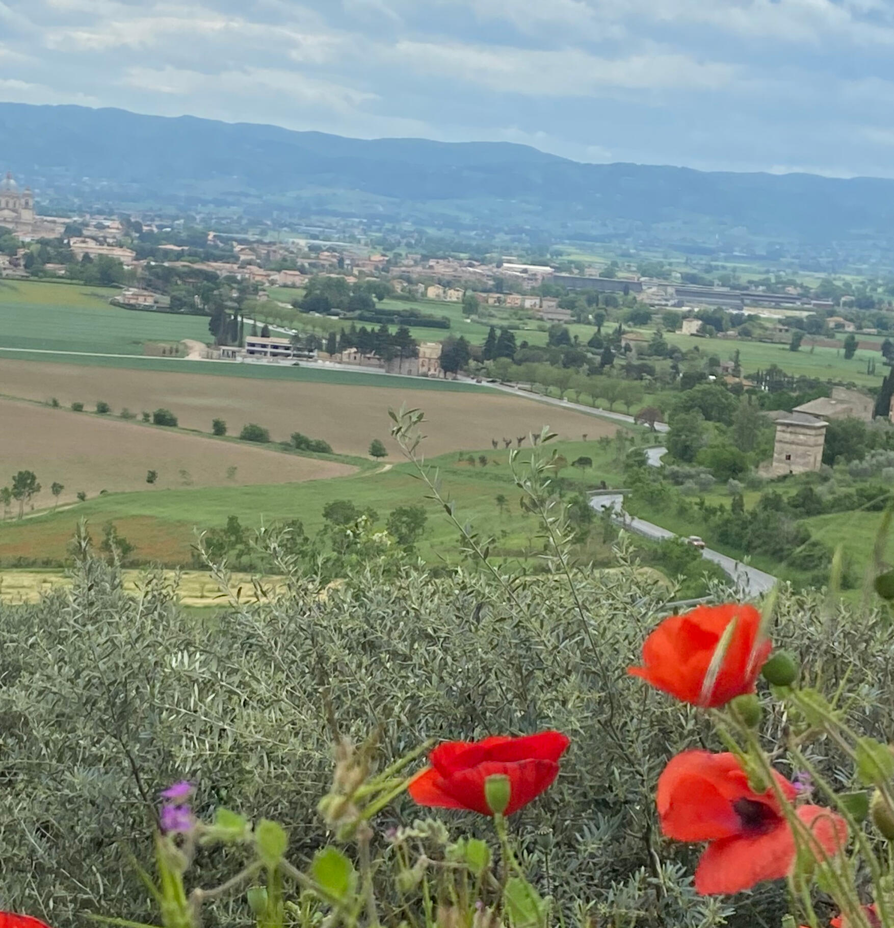 Assisi, Italy